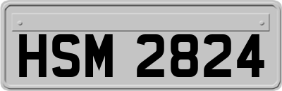 HSM2824