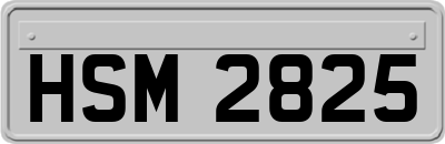HSM2825