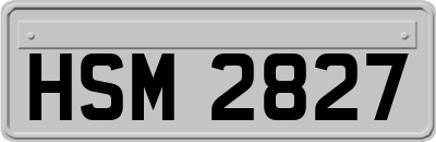 HSM2827