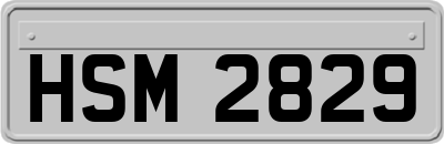 HSM2829