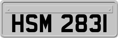 HSM2831