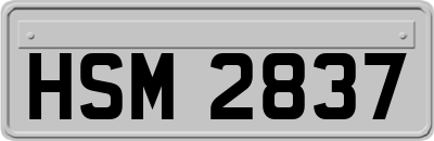 HSM2837