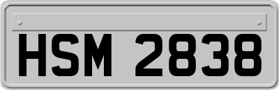 HSM2838
