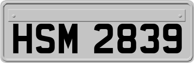 HSM2839
