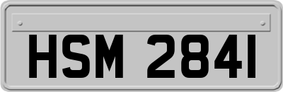 HSM2841