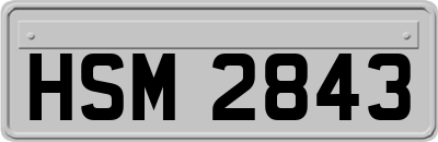 HSM2843