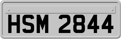 HSM2844