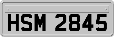 HSM2845