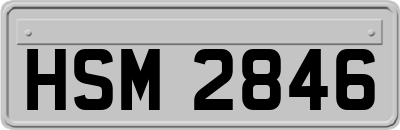 HSM2846