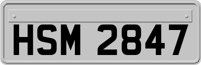 HSM2847