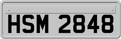 HSM2848