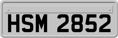 HSM2852