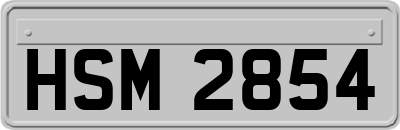 HSM2854