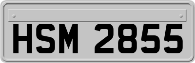 HSM2855