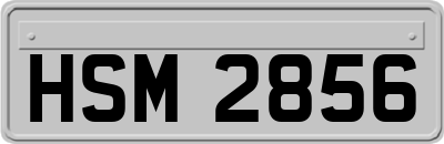 HSM2856