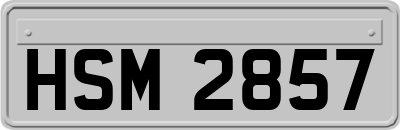 HSM2857