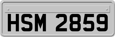 HSM2859