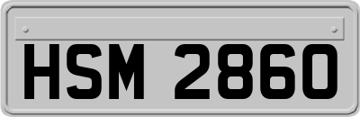 HSM2860