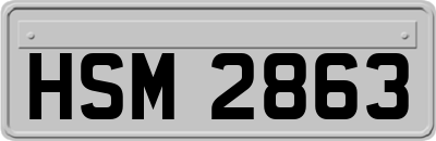 HSM2863