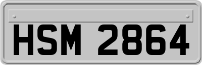 HSM2864