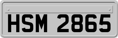 HSM2865