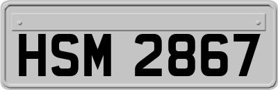 HSM2867