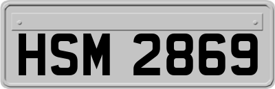 HSM2869