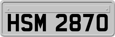 HSM2870