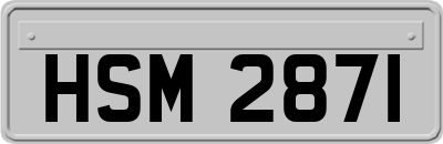 HSM2871