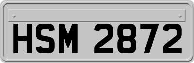 HSM2872