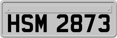 HSM2873