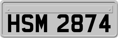 HSM2874