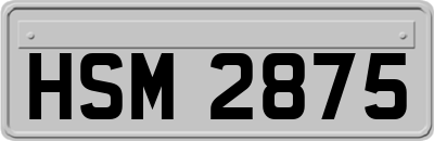 HSM2875
