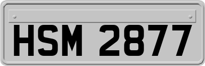HSM2877