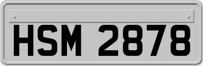 HSM2878
