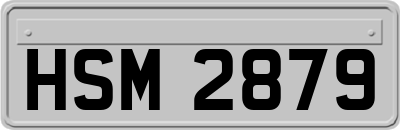 HSM2879
