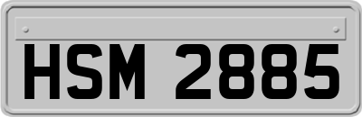 HSM2885