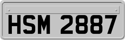 HSM2887