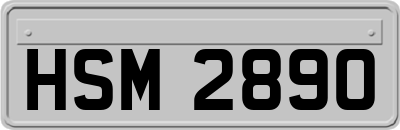 HSM2890