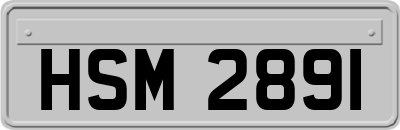 HSM2891