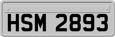 HSM2893