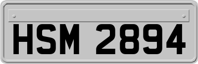 HSM2894