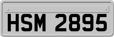 HSM2895