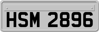 HSM2896