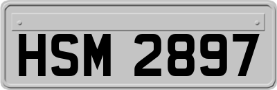 HSM2897