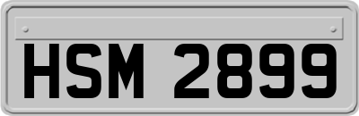 HSM2899