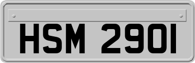 HSM2901