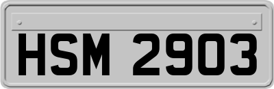 HSM2903