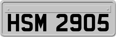 HSM2905