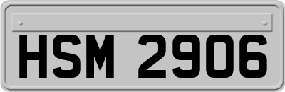 HSM2906